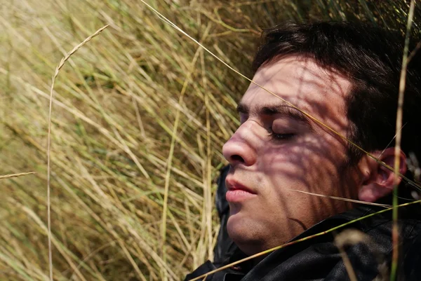 Portrait of the sleeping man against a grass.