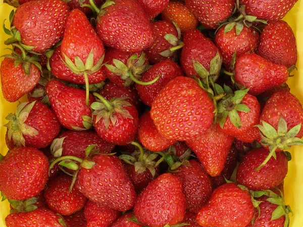 Strawberry. — Stok Foto