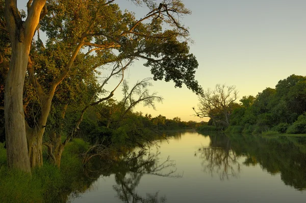 Stock image Makgalakwena River at sunrise