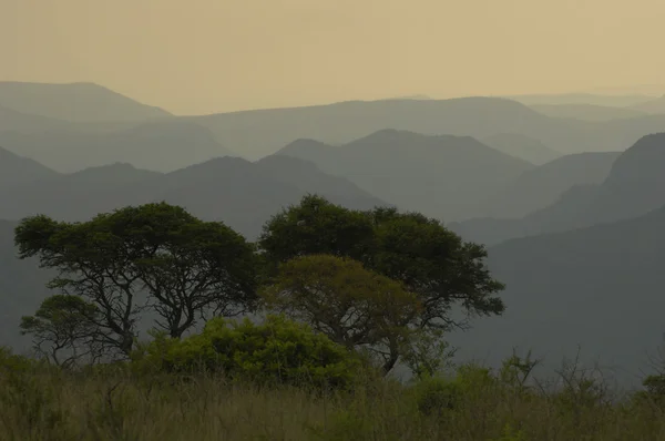 Νωρίς το πρωί, ithala, zululand — Φωτογραφία Αρχείου