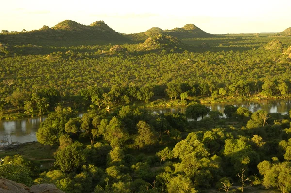 Limpopo River Valley — Stock Photo, Image