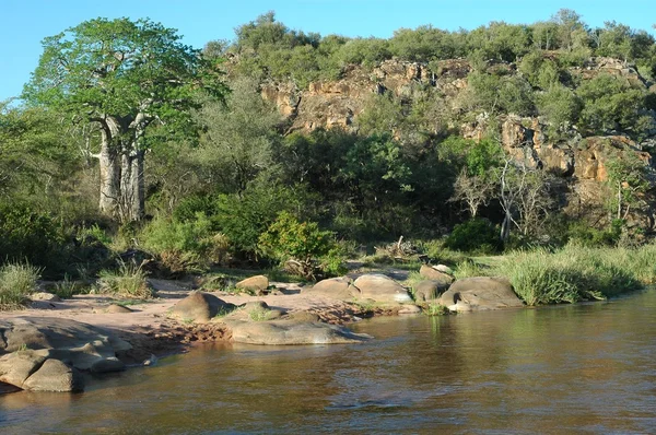 Mutale folyó jelenet, Dél-afrikai Köztársaság Stock Fotó