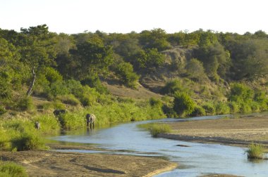 Letaba River scene, kruger park clipart