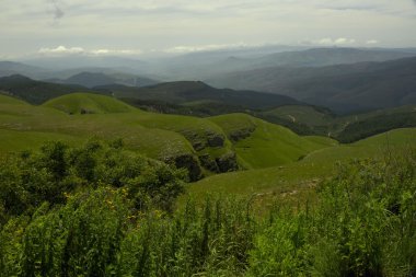 View from Long Tom Pass, South Africa clipart