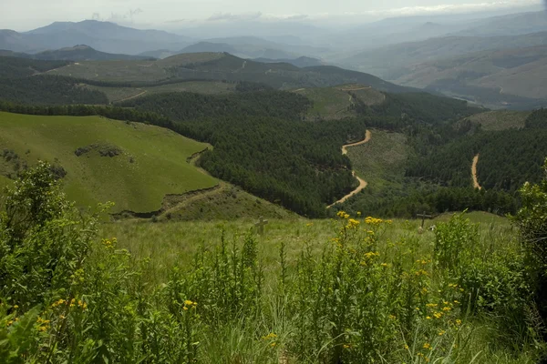 stock image View from Long Tom Pass, South Africa