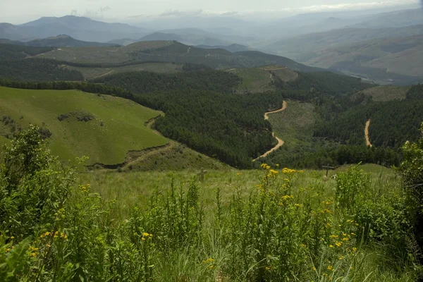 Vy från long tom pass, Sydafrika Stockbild