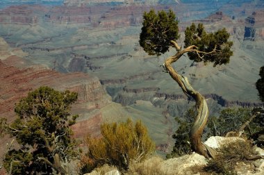 Büyük Kanyon, arizona