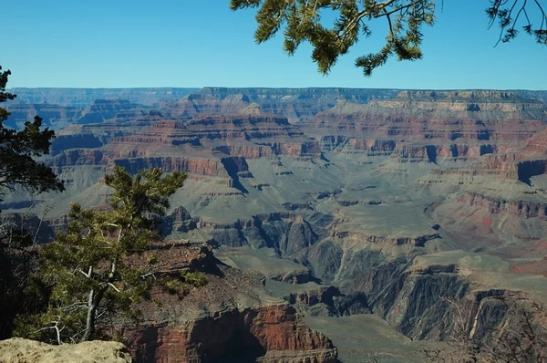 Grand Canyon, Arizona — Stok Foto