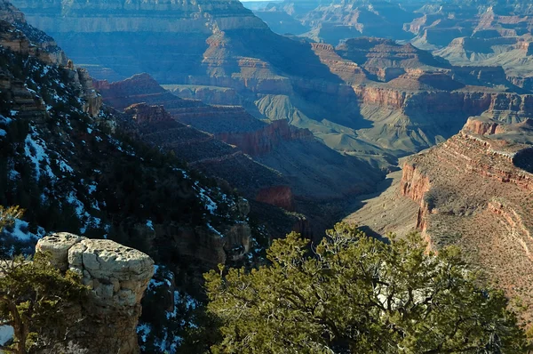 Grand Canyonissa, Arizonassa — kuvapankkivalokuva