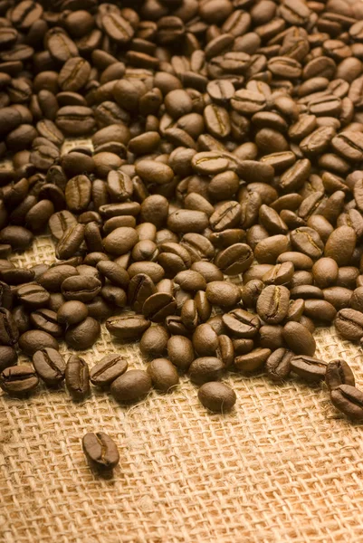 Coffee bean — Stock Photo, Image