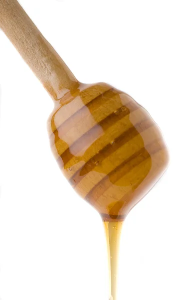 stock image Honey