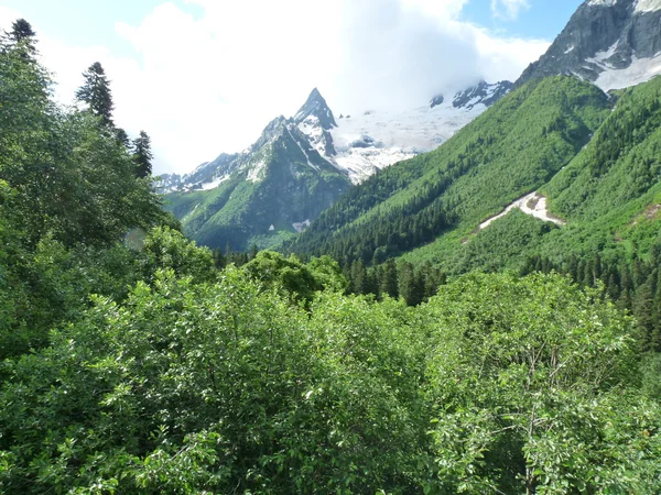 The Alpine meadows of mountains Kavkaz — Stock Photo, Image