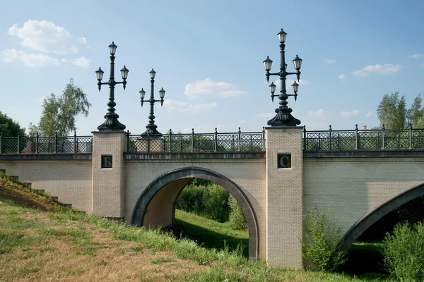 stock image The bridge through a ravine