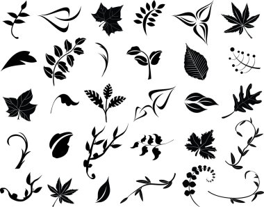 Collection of leaves clipart