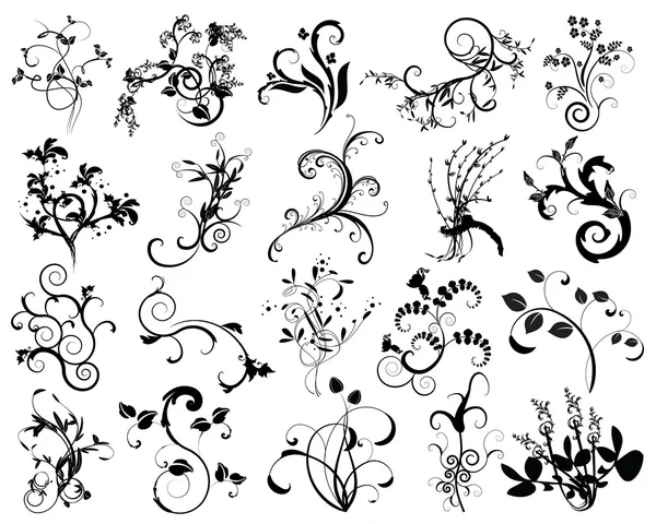 Collection of floral design elements — Stock Vector