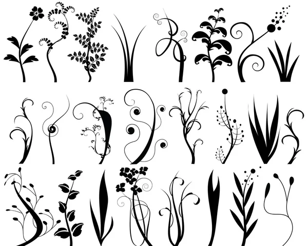 꽃무늬 설계 요소들의 모음 — 스톡 벡터