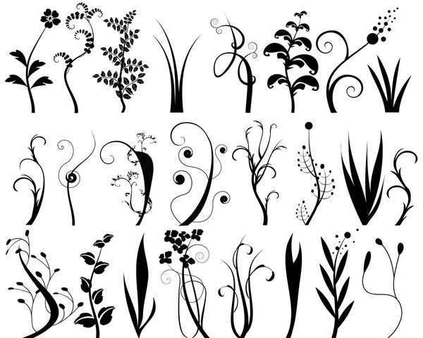 Collection of floral design elements