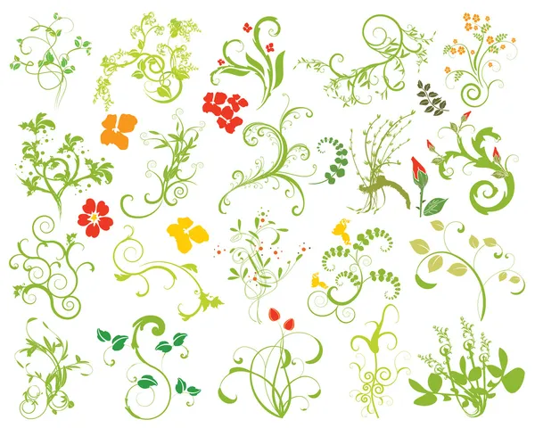 Colección de elementos de diseño floral — Archivo Imágenes Vectoriales