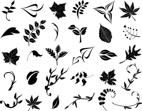 Collection of leaves — Stock Vector