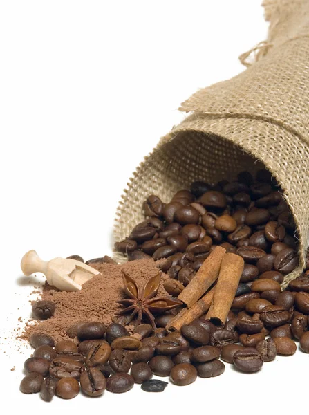 Zimt, Kaffeebohnen, Kakao lizenzfreie Stockfotos