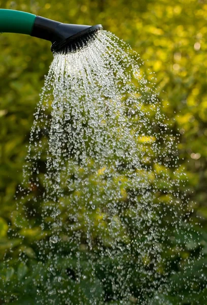 Víz ömlött sprink­ler — Stock Fotó