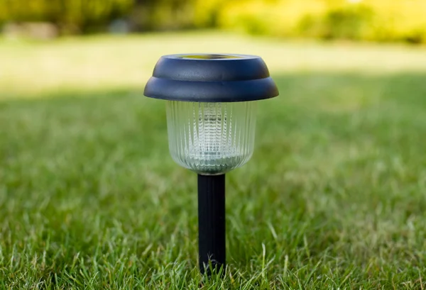 Green grass and torch — Stock Photo, Image