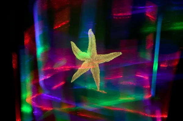 Абстрактные цвета и морская звезда — стоковое фото