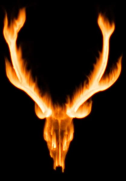 Рог животного с пламенем — стоковое фото