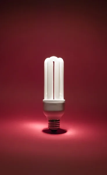 Electric bulb on red background — Stock Photo, Image