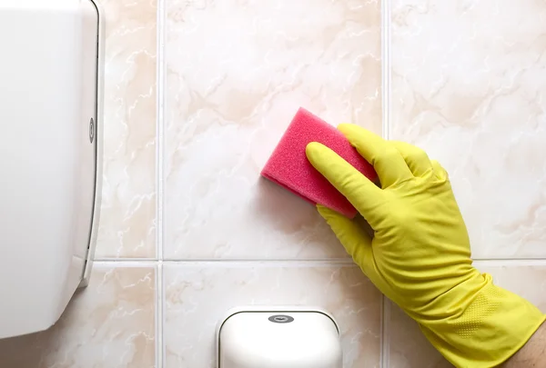 stock image Cleaner with gloves and red sponge