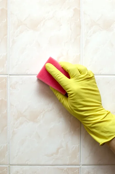 stock image Cleaner with gloves and red sponge