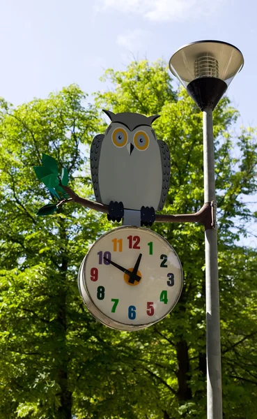 Baykuş saatin üzerinde duruyor — Stok fotoğraf