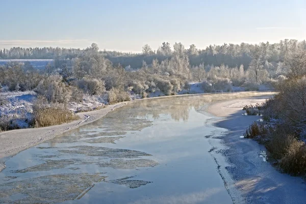 stock image Nature in winter