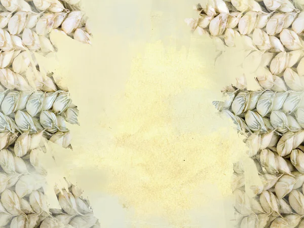Wheat frame on grunge background — Stock Photo, Image