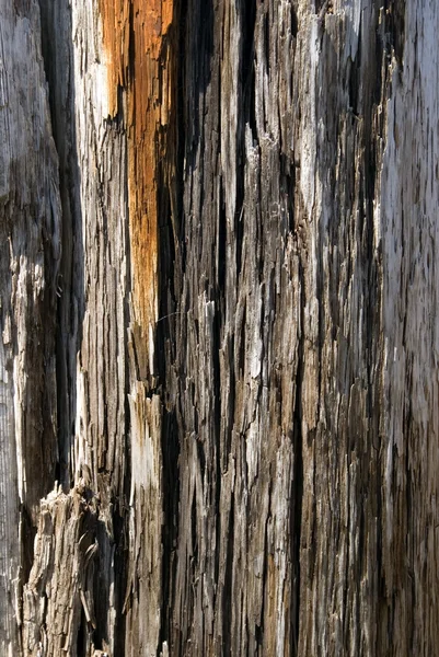 木料 — 图库照片