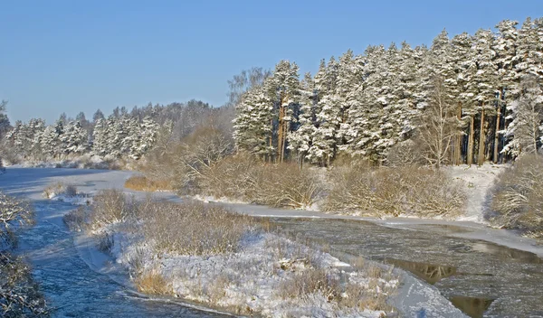 stock image Nature in winter