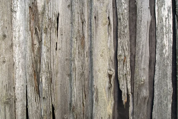 Ιστορικό ξύλου — Φωτογραφία Αρχείου