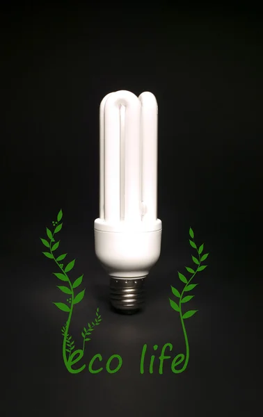 Oszczędności życia ekologicznego praca lampy — Zdjęcie stockowe