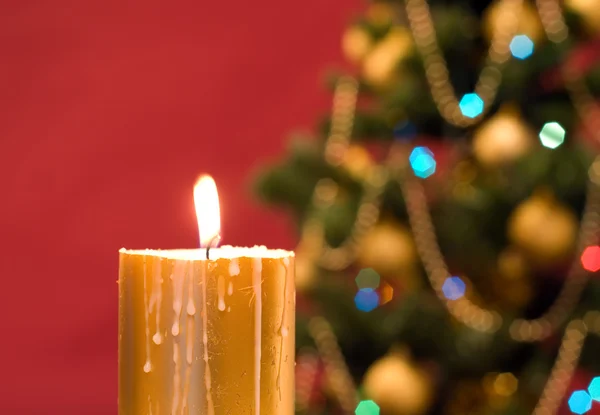 Gyertya, karácsonyfa, piros háttér — Stock Fotó