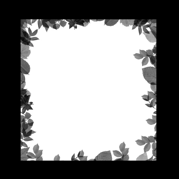 Abstract frame for congratulations cards — Stock Photo, Image