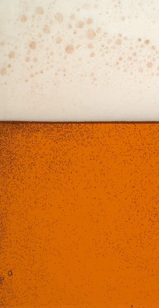 Iyi ve soğuk bira — Stok fotoğraf