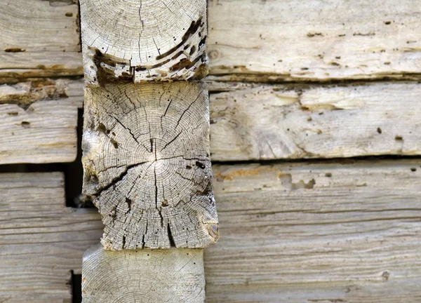 Composição da madeira — Fotografia de Stock