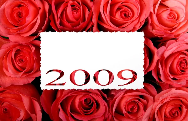 Year 2009 — Stock Photo, Image
