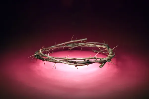 Crown of wood with thorns — Stock Photo, Image