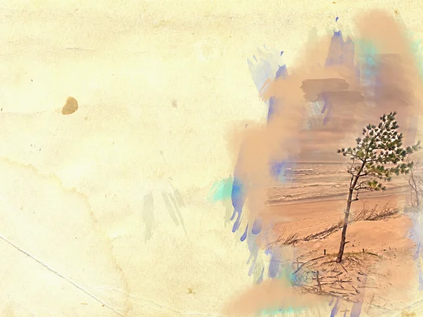 Baum im Sand auf Grunge-Hintergrund — Stockfoto
