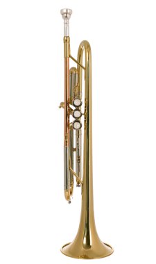 müzikal instument trompet