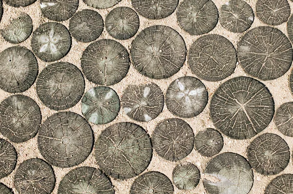 Textura de madeira feita na areia — Fotografia de Stock