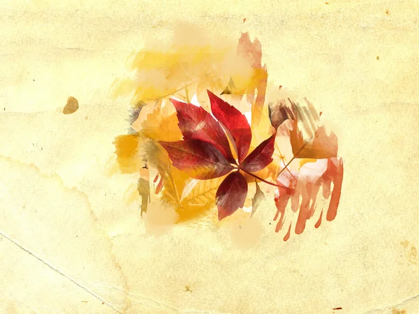 Leaves on grunge background — Stock Photo, Image