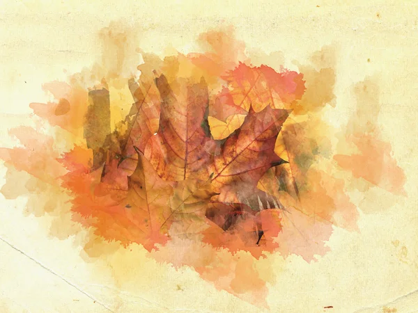 Листья на фоне гранжа — стоковое фото