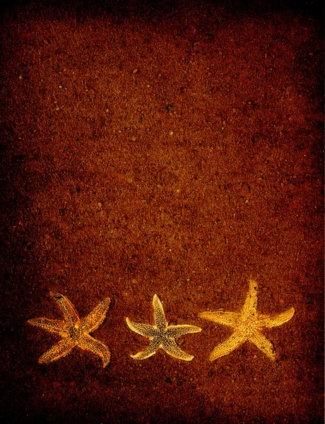 Starfish on brown sand background — Stock Photo, Image